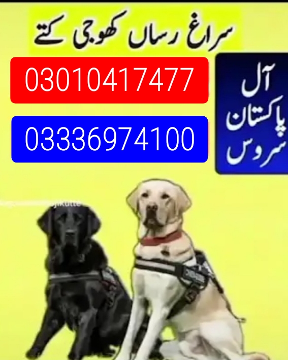 Army dog center 03010417477 (khoji dogs)